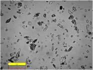 第9頁-34 第9頁-34